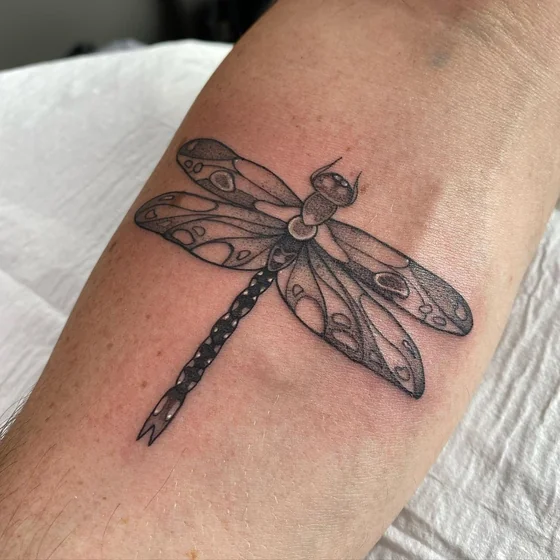 Black and Grey Fine Line Dragonfly tattoo design for men and women on forearm tattoo ideas