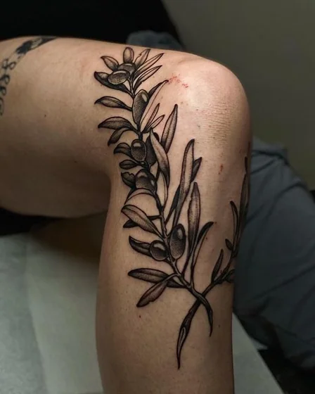 Black and grey linework olive branch floral tattoo idea on knee