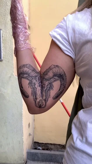 Blackwork linework Aries ram head tattoo idea for women on elbow