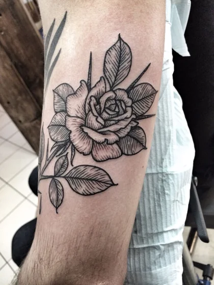 Rose