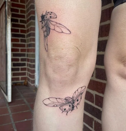 Fine Line Black And Grey Ladybug tattoo on Knee and Leg