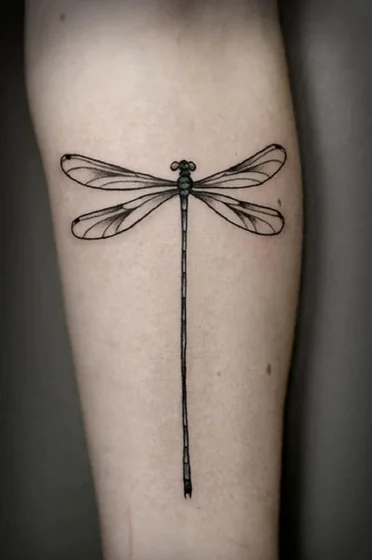 Dragonfly