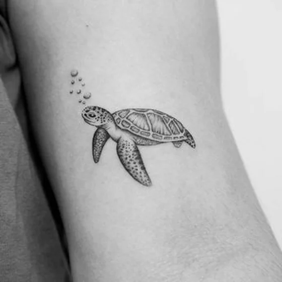 Fine Line Dotwork Turtle tattoo idea for men and women on arm