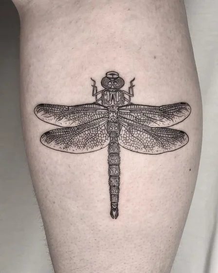 Fine Line Dotwork dragonfly tattoo design for men and women on calf tattoo ideas