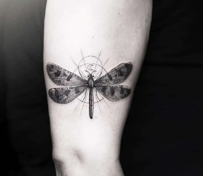 Fine Line Geometric dragonfly moon tattoo design for men & women tattoo ideas