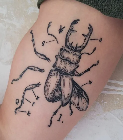 Fine Line Illustrative Beetle tattoo design for women on Upper Arm