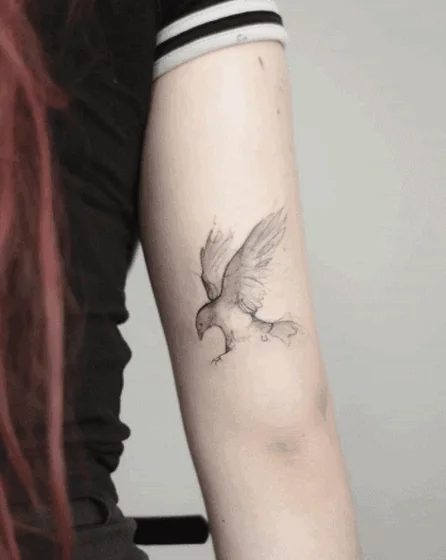 Fine Line Sketch Dove Bird tattoo design for women on Upper Arm