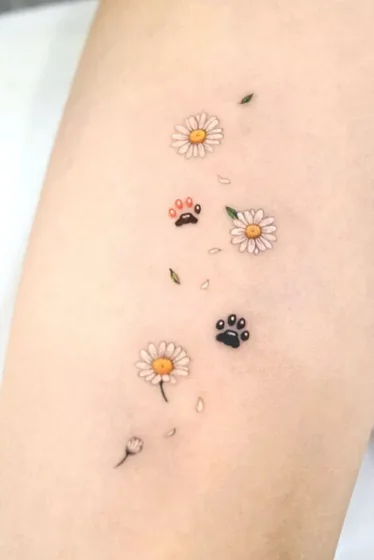 Fine Line realistic daisy and paw print tattoo idea for women on arm
