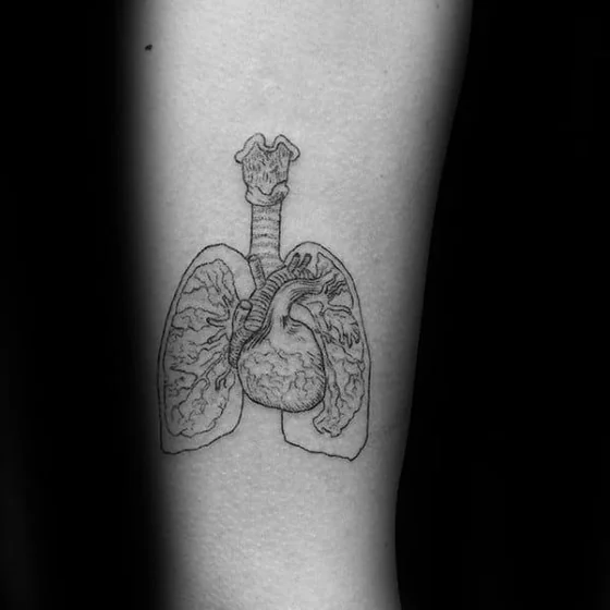 Fine line anatomical heart and lungs tattoo for men on upper arm