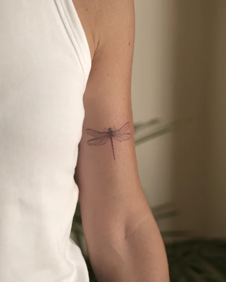 Minimalist fine line dragonfly tattoo design for women on bicep tattoo ideas