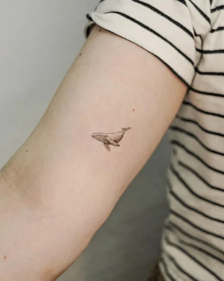 Minimalist fine line whale tattoo idea for men and women on upper arm