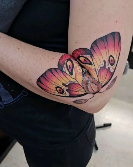 Neo-Traditional moth tattoo design for women on elbow