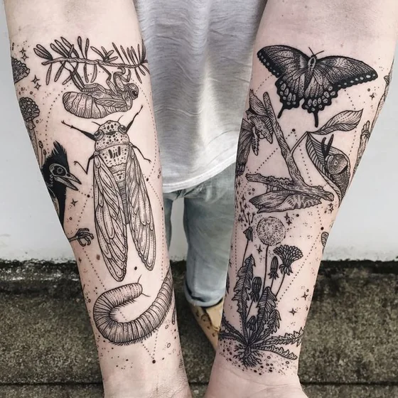 Patchwork fine line tattoo design for women: butterfly, cicada, dandelion, snail, mushroom on forearms.