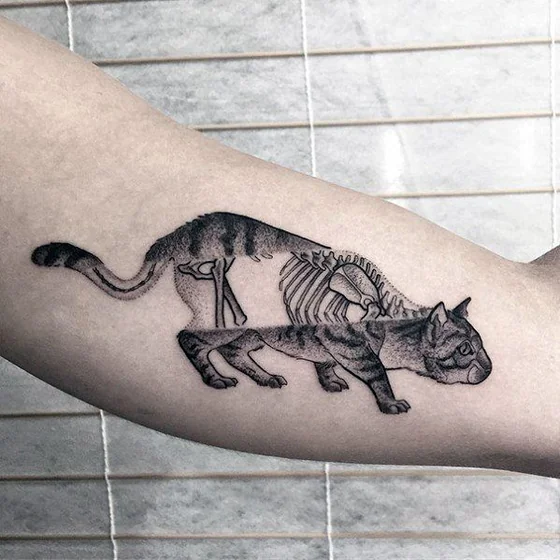 Realistic black and grey cat skeleton tattoo design for women on bicep tattoo ideas