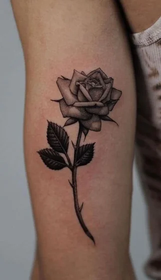 Realistic black and grey rose flower tattoo design for women on upper arm