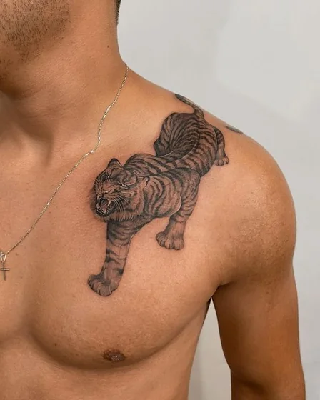 Desenho de tatuagem de tigre realista em preto e cinza para homens no peito e ombro