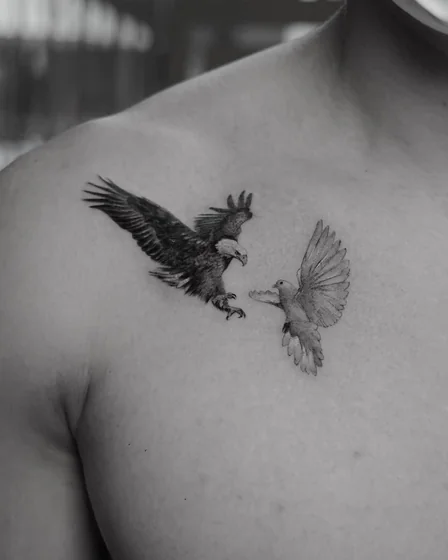 Realistic eagle and dove tattoo design for men on chest and shoulder