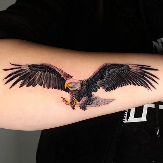 Realistic eagle tattoo idea for men and women on forearm