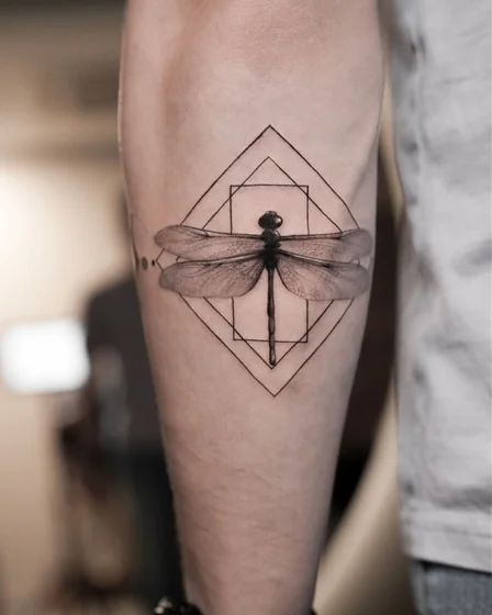 Dragonfly