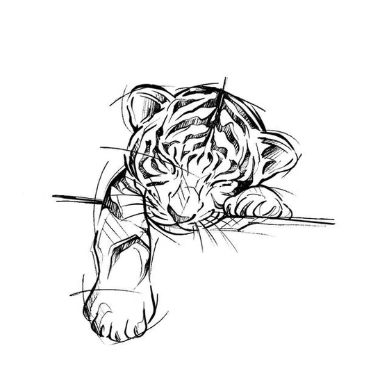 Sketch tiger cub tattoo design for men and women