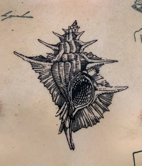Woodcut and linework seashell tattoo design on back