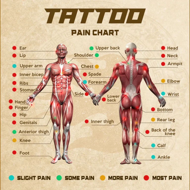 tattoo pain level body map heat diagram